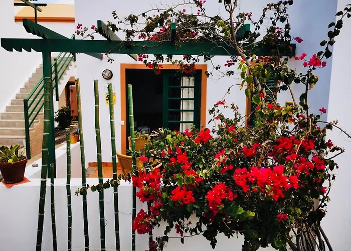 Happiness كاليتا ذي فوستي