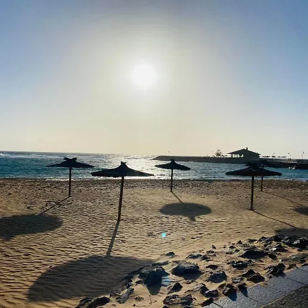 Apartment Happiness *